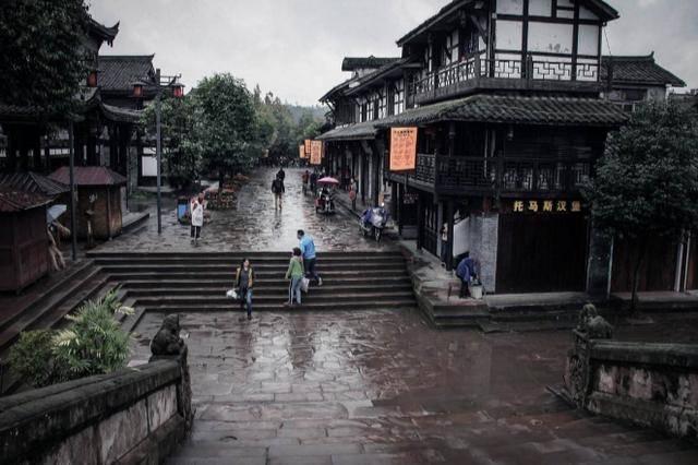 救援受困的老虎